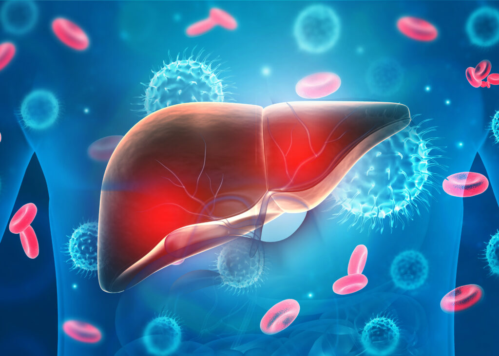 Human liver virus infection. 3d illustration