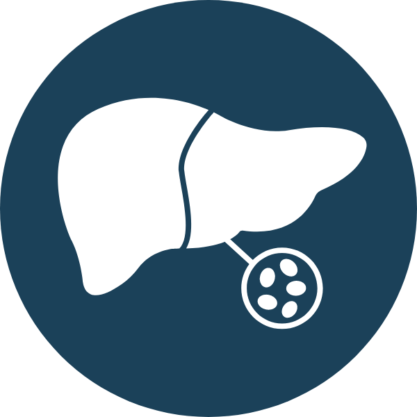 Fatty Liver Icon